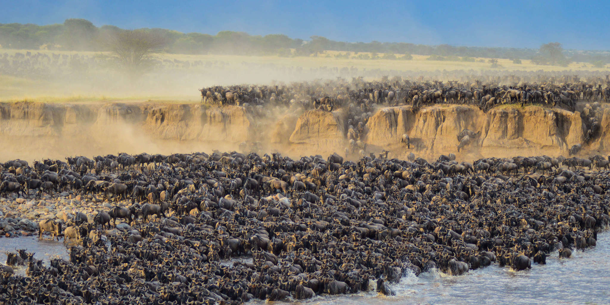 Serengeti Great Migration